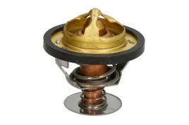 termostat-srodka-chlodzacego-d2pe006tt