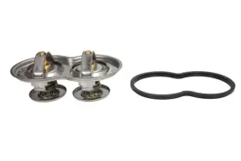termostat-srodka-chlodzacego-d2sc003tt
