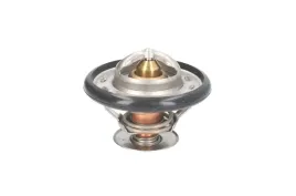 termostat-srodka-chlodzacego-d2de001tt