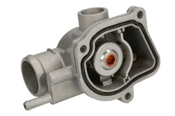termostat-srodka-chlodzacego-d2m008tt