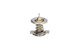 termostat-srodka-chlodzacego-d2m002tt