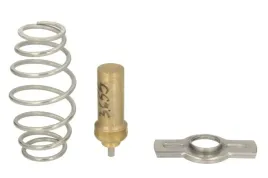 termostat-srodka-chlodzacego-d2iv008tt