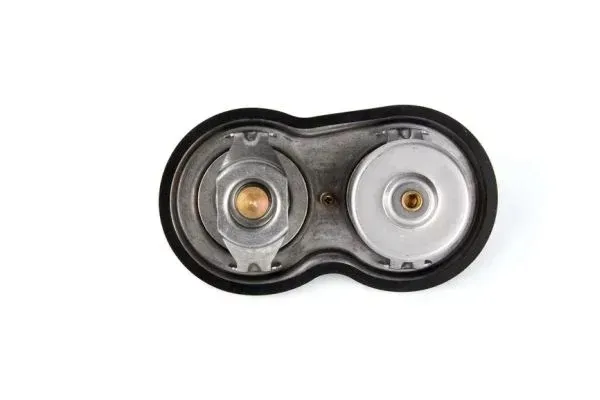 termostat-srodka-chlodzacego-d2sc002tt