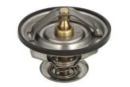 termostat-srodka-chlodzacego-d2ag011tt