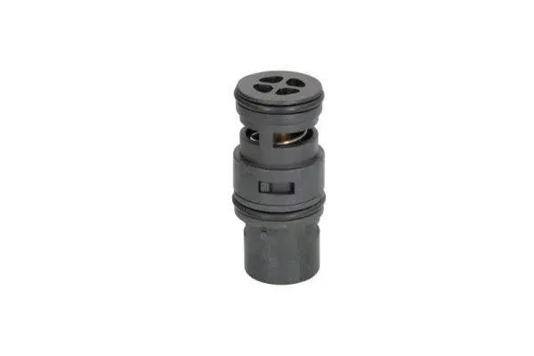 termostat-srodka-chlodzacego-d2b007tt