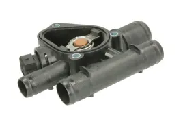 termostat-srodka-chlodzacego-d21002tt