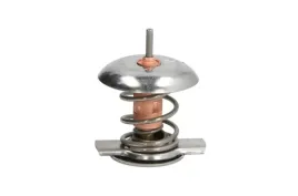 termostat-srodka-chlodzacego-d2y002tt
