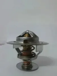 termostat-srodka-chlodzacego-d2jd001tt