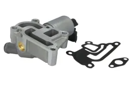 zawor-egr-98195-nis