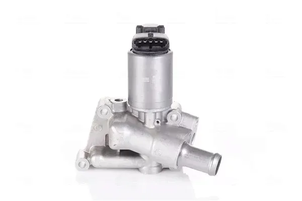 zawor-egr-98195-nis