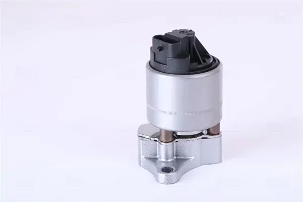 zawor-egr-98187-nis