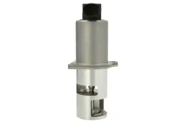 zawor-egr-98163-nis