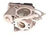 zawor-egr-98192-nis