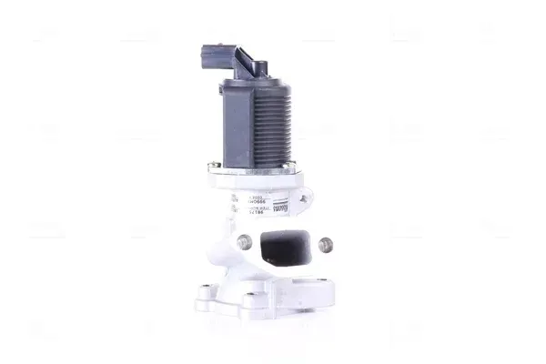 zawor-egr-98175-nis