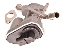 zawor-egr-98165-nis