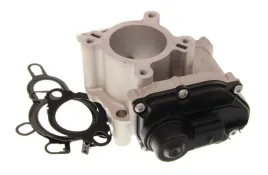 zawor-egr-98261-nis