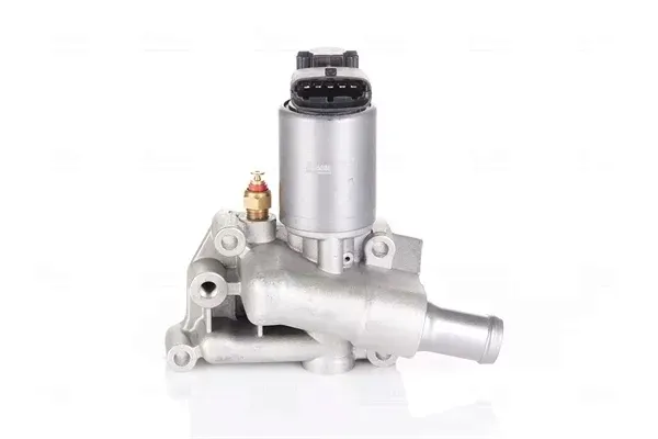 zawor-egr-98227-nis