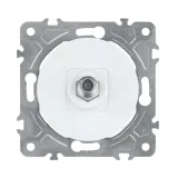 gniazdo-sat-biale-oval