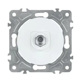 gniazdo-sat-biale-oval