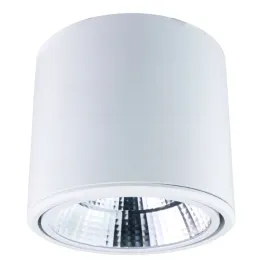 reflektor-led-punktowy-regulowany-natynkowy-20-w-1600-lm-4000-k-bialy-x-lin