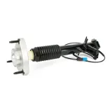 amortyzator-sk-3817