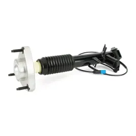 amortyzator-sk-3817