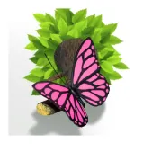 lampka-3d-motyl-lampa-scienna-led