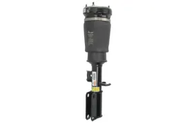 amortyzator-pneumatyczny-as-2765-arn