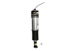 amortyzator-pneumatyczny-as-2978-arn