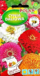cynia-daliowa-1g-nasiona-kwiatow-polan