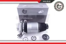 miech-zawieszenia-tyl-lewy-58skv049-skv