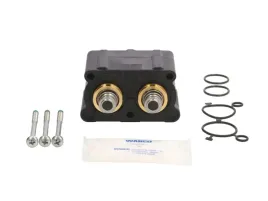 zestaw-naprawczy-automatyczna-skrzynia-biegow-421-350-924-2