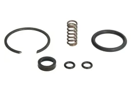 zestaw-pierscieni-uszczelniajacych-434-205-001-2