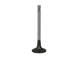 zawor-ssacy-16204