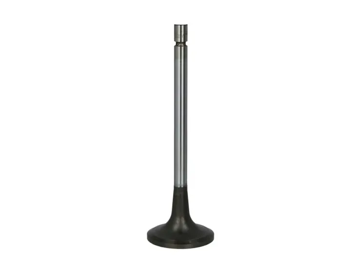 zawor-ssacy-16204