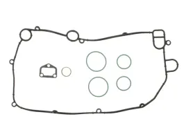 zestaw-uszczelek-chlodnicy-oleju-1-31150
