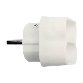 rozgaleznik-zlodziejka-pradowy-2-gniazda-plaskie-72400-vorel