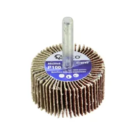 sciernica-krazek-listkowa-trzpieniowa-40x20x6-p100-g78743