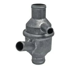 termostat-renault-claas-fendt-mwm-6005004616