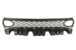 atrapa-pasuje-do-dodge-charger-01-19-6502-07-0932990sp
