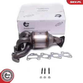katalizator-62skv029-skv