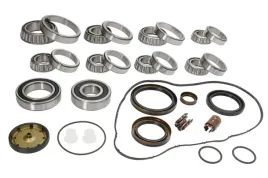 zestaw-naprawczy-skrzyni-biegow-462005710-ina