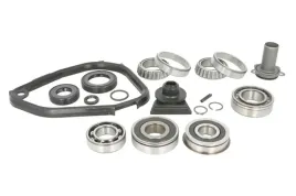 zestaw-naprawczy-skrzyni-biegow-462015110-ina