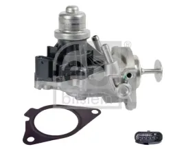 zawor-egr-171096-feb