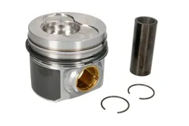 tlok-0309700-mah