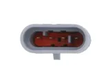 sonda-lambda-0258010046-bos