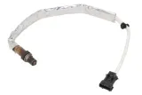 sonda-lambda-0258010165-bos-stan-nowy