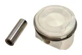 tlok-0220601-mah-mahle