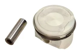 tlok-0220601-mah-mahle