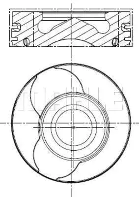 tlok-0220100-mah